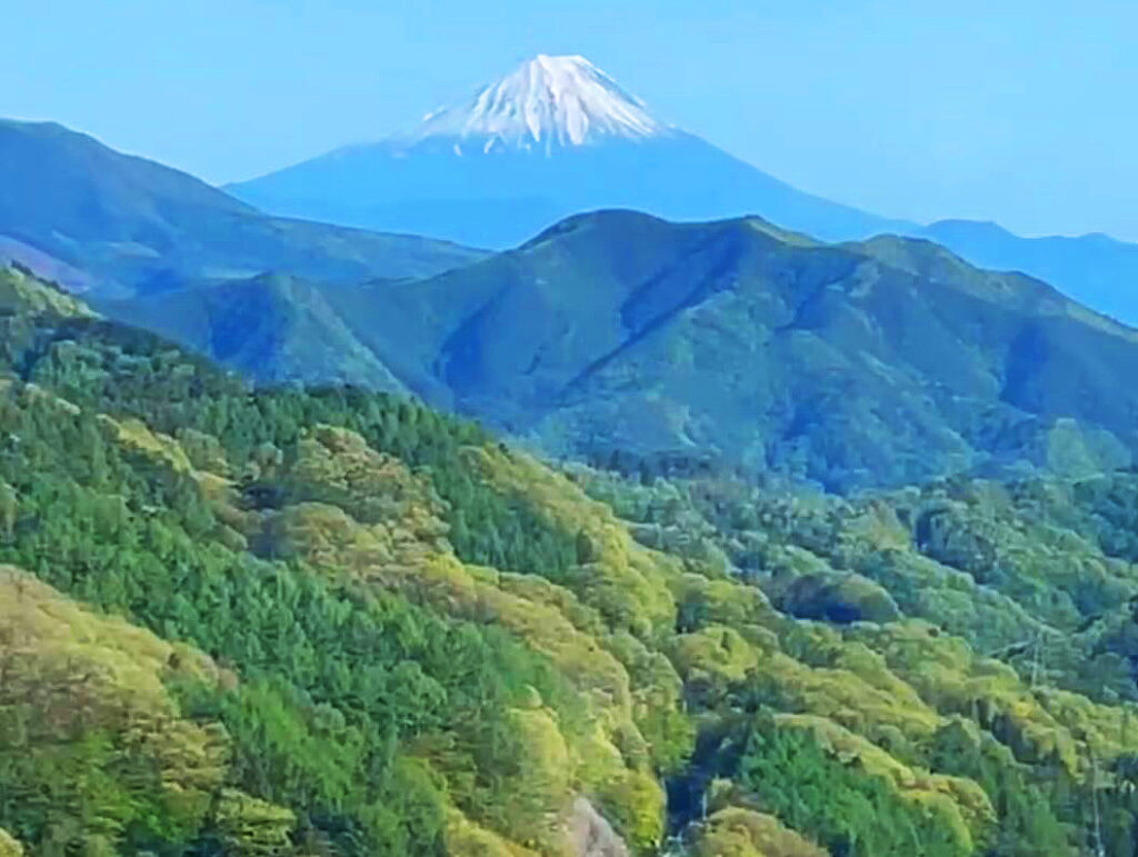 大自然広がる富士山